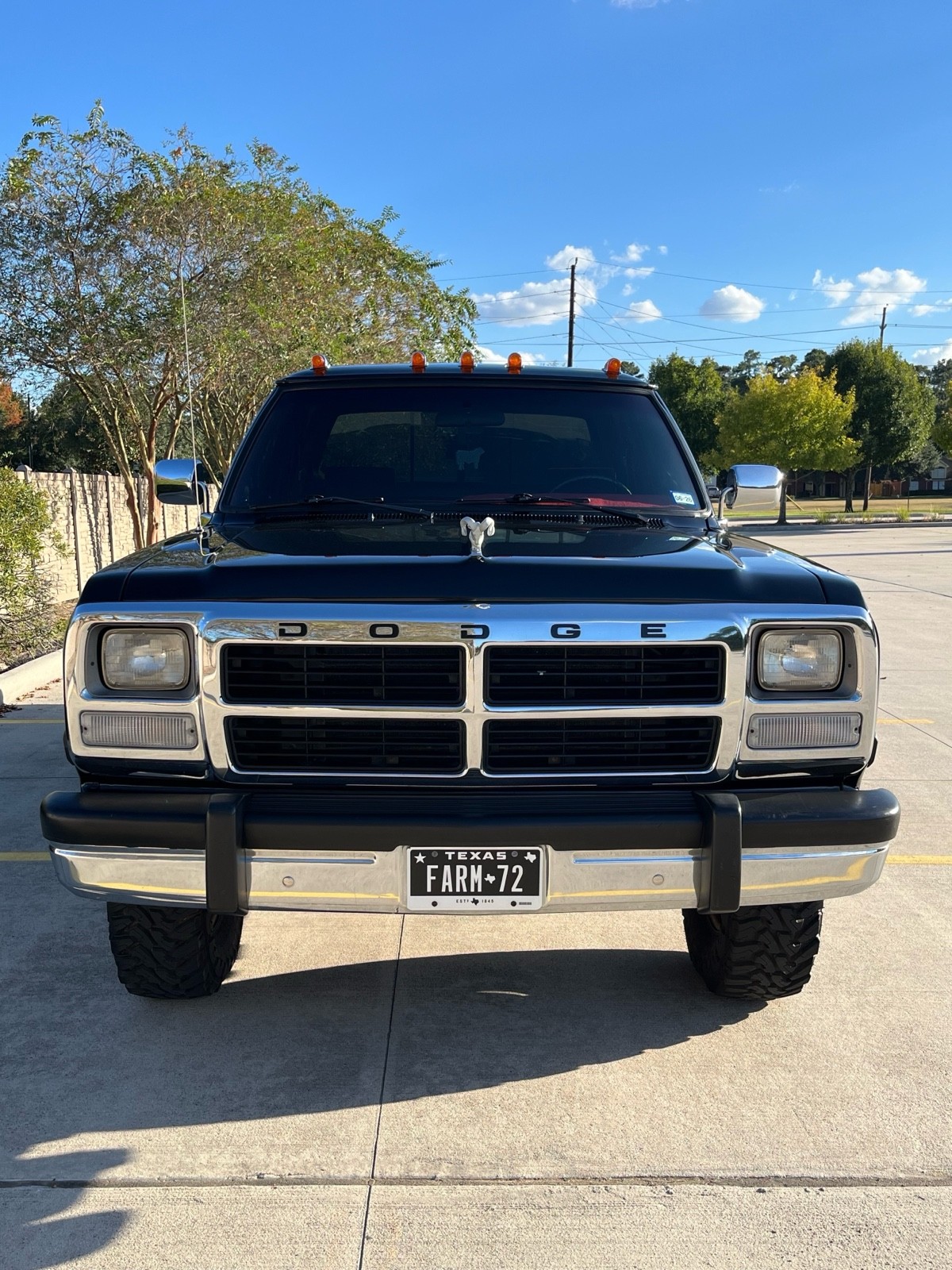 Dodge-Ram-1993-16