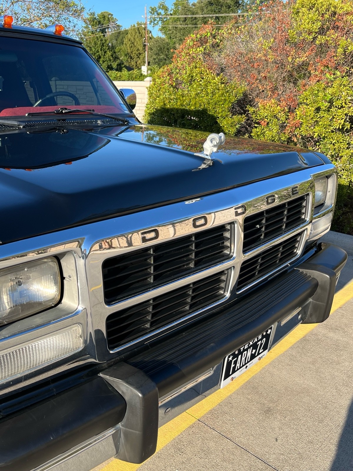 Dodge-Ram-1993-4