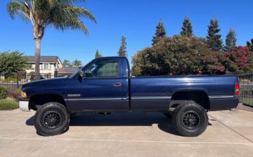 Dodge-Ram-2500-1994-Standard-Cab-Pickup-14