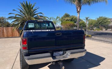 Dodge-Ram-2500-1994-Standard-Cab-Pickup-17
