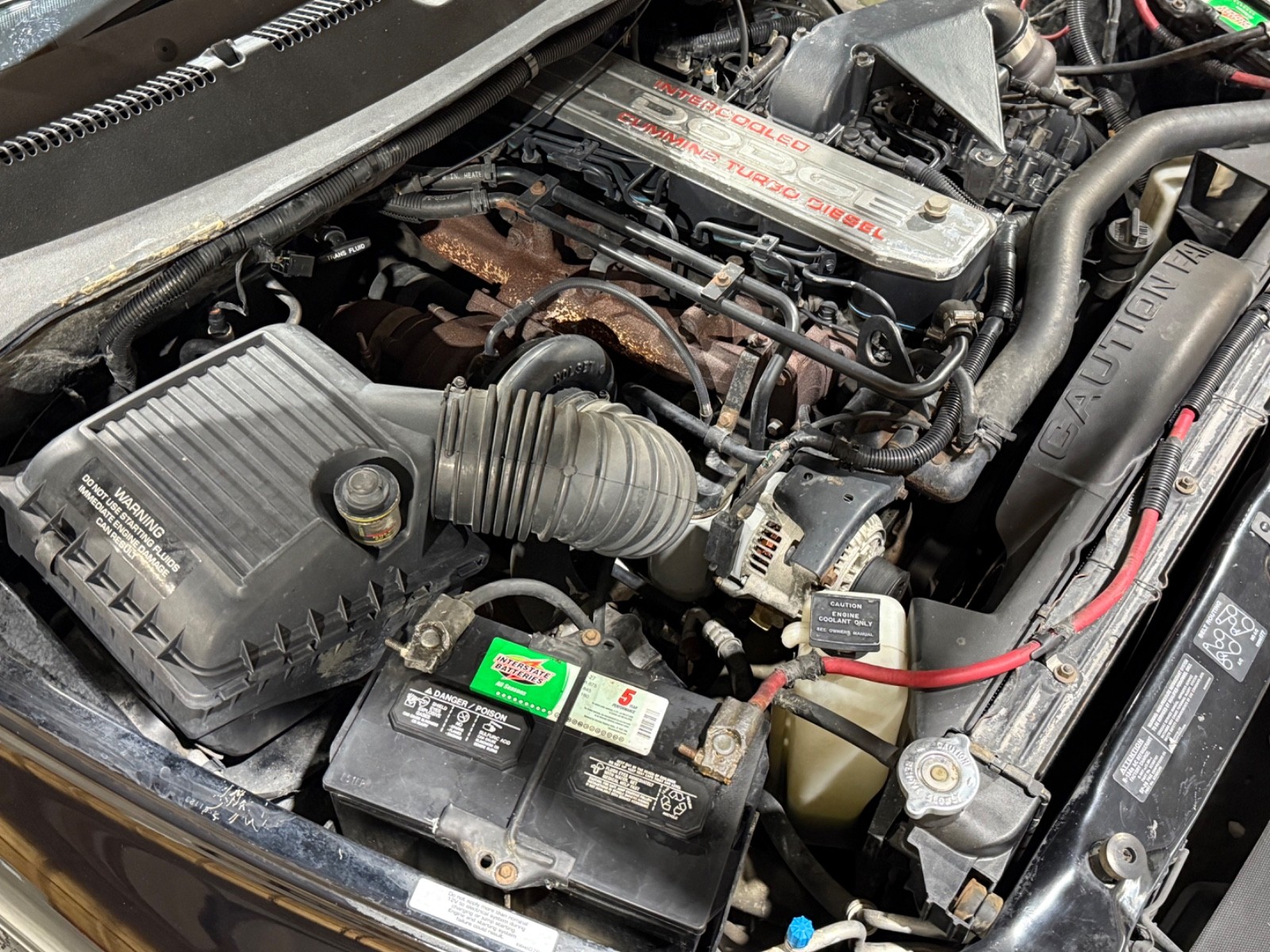 Dodge-Ram-2500-1994-Standard-Cab-Pickup-19