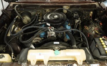 Dodge-W150-1979-Brown-Black-11