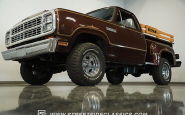 Dodge-W150-1979-Brown-Black-12