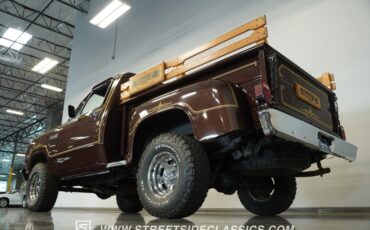 Dodge-W150-1979-Brown-Black-17