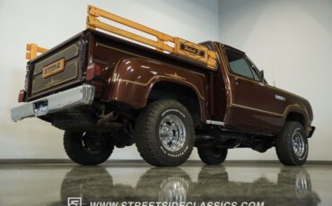 Dodge-W150-1979-Brown-Black-18