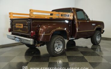 Dodge-W150-1979-Brown-Black-19