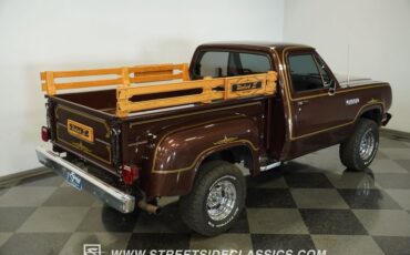 Dodge-W150-1979-Brown-Black-20