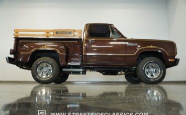 Dodge-W150-1979-Brown-Black-21