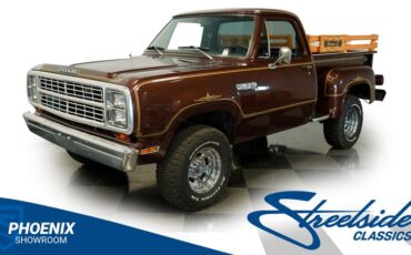 Dodge-W150-1979-Brown-Black-25