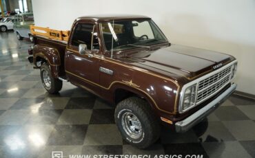 Dodge-W150-1979-Brown-Black-28