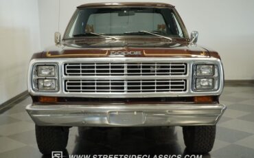 Dodge-W150-1979-Brown-Black-29