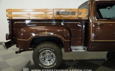 Dodge-W150-1979-Brown-Black-37