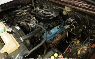 Dodge-W150-1979-Brown-Black-4