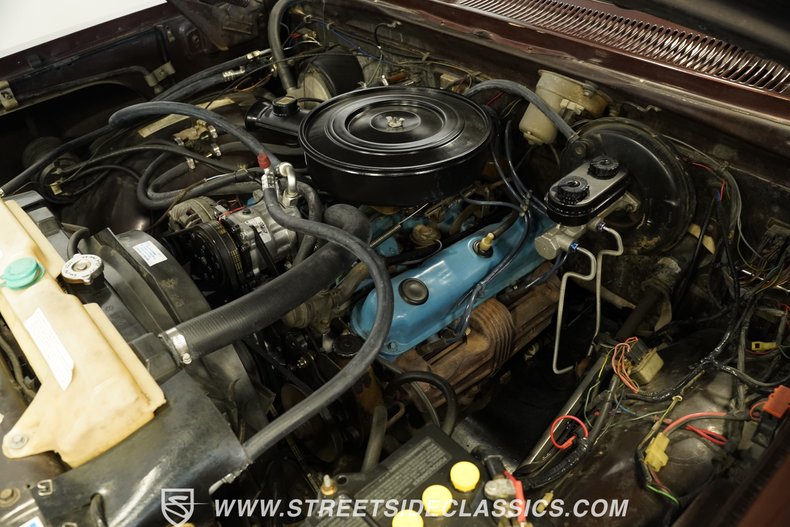 Dodge-W150-1979-Brown-Black-4