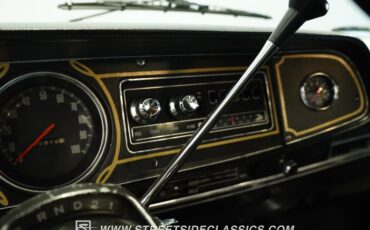 Dodge-W150-1979-Brown-Black-45