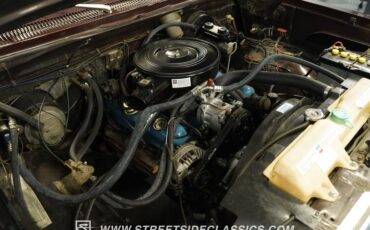 Dodge-W150-1979-Brown-Black-6