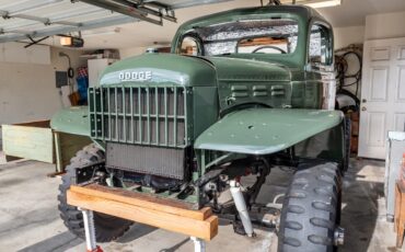Dodge-Wm300-1964-Bell-Green-Bell-Green-amp-Brown-13