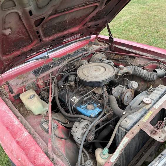 Dodge-aspen-rt-1980-6