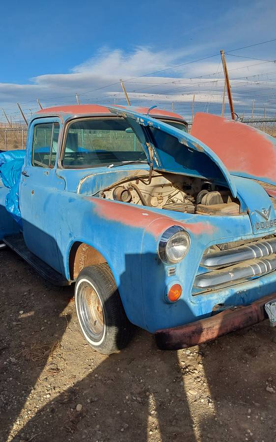 Dodge-b3-1955-blue-15