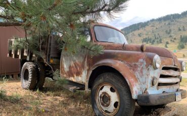 Dodge-c1-medium-duty-h-rated.-1954-blue-2