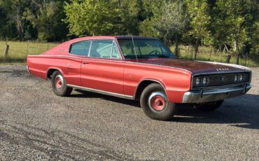 Dodge-charger-1966-19