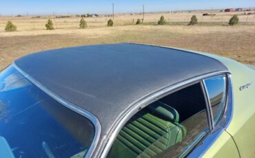 Dodge-charger-1972-green-9