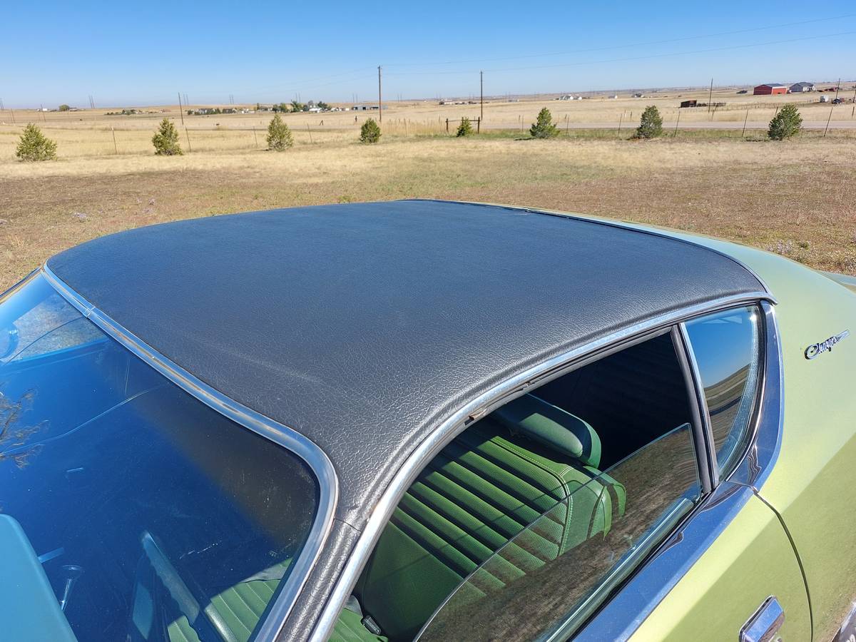 Dodge-charger-1972-green-9
