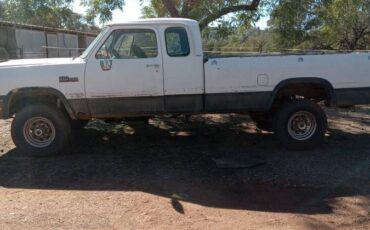 Dodge-cummings-4x4-diesel-1993-white