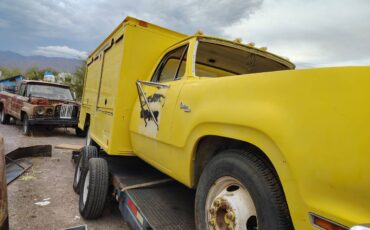 Dodge-custom-d300-1980-yellow-2