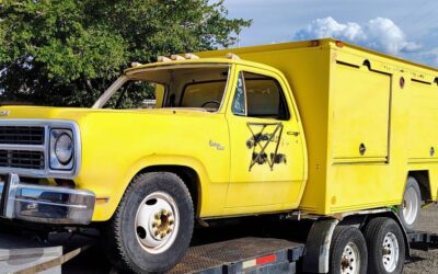 Dodge custom d300 1980