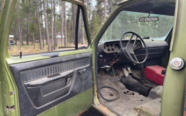 Dodge-d-300-1976-green-11