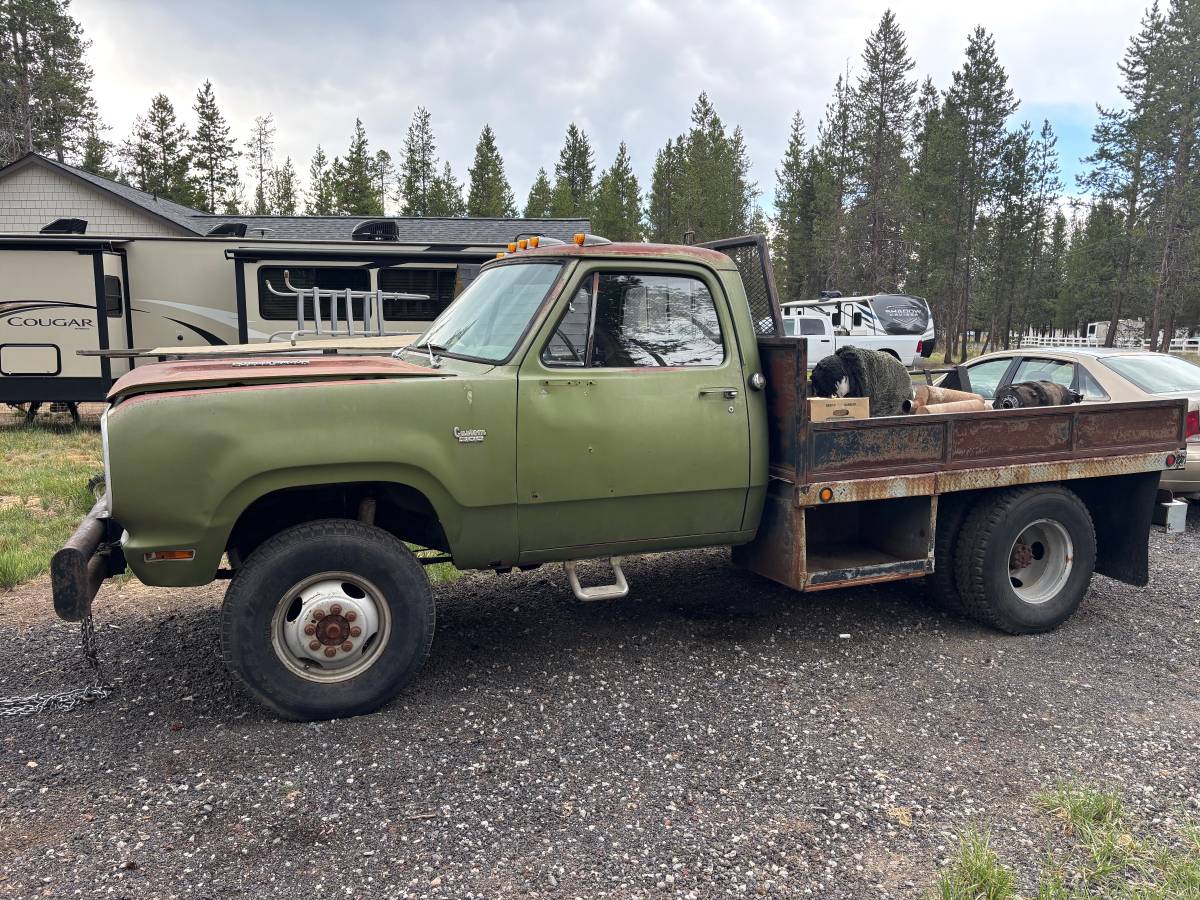 Dodge-d-300-1976-green-2