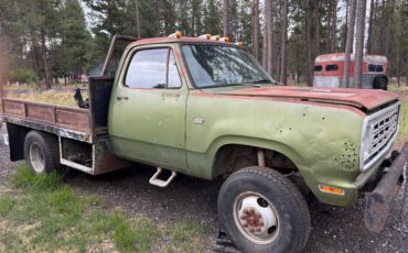 Dodge-d-300-1976-green-6