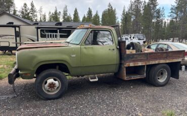 Dodge-d-300-1976-green-8