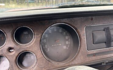 Dodge-d-300-1976-green-9