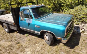 Dodge-d-350-diesel-1990-green