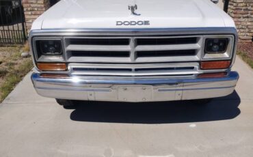 Dodge-d-350-diesel-1990-white