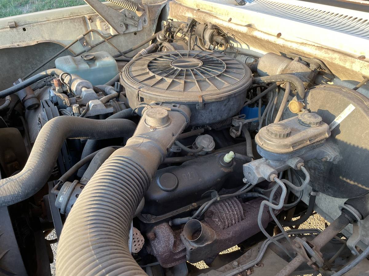 Dodge-d-series-conventional-cab-150-job-rated-1988-yellow-10