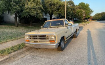 Dodge-d-series-conventional-cab-150-job-rated-1988-yellow-3