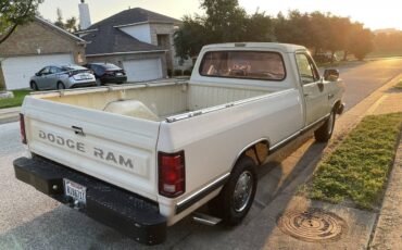Dodge-d-series-conventional-cab-150-job-rated-1988-yellow-4