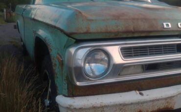 Dodge-d100-1970-green-8