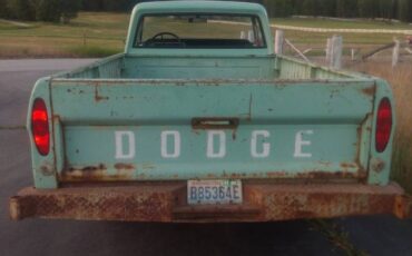 Dodge-d100-1970-green-9