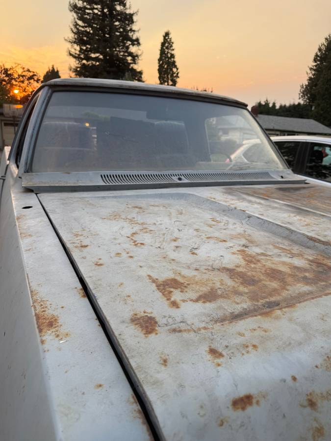 Dodge-d100-1972-5
