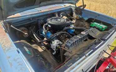 Dodge-d100-1973-blue-31