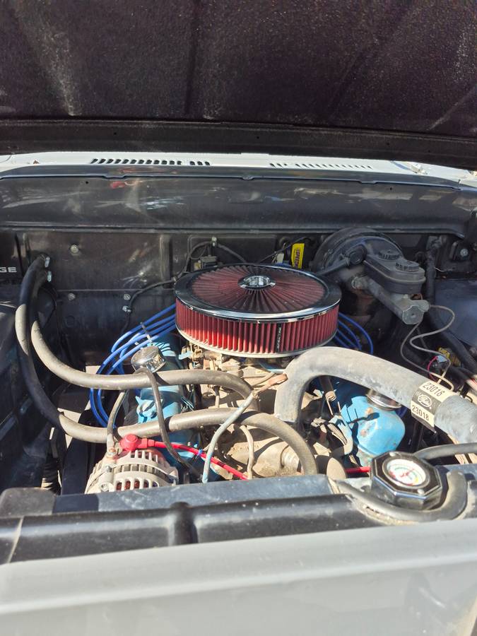 Dodge-d100-4x4-home-build-1966-grey-4
