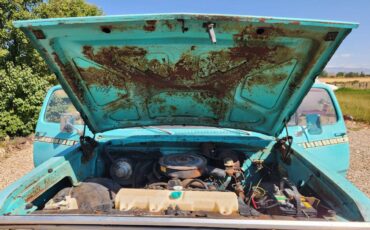 Dodge-d100-truck-4x4-1974-blue-1