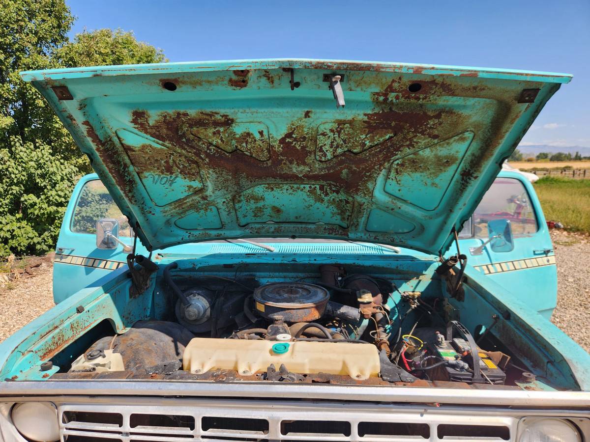 Dodge-d100-truck-4x4-1974-blue-1