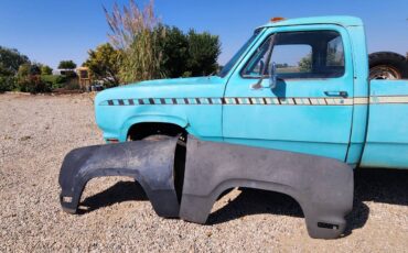 Dodge-d100-truck-4x4-1974-blue-7