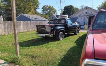 Dodge-d150-1980-black-4
