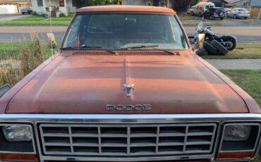 Dodge-d350-1985-brown-1